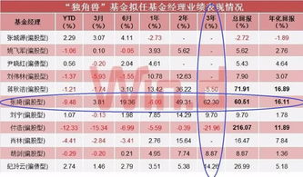 基金公司管理戰(zhàn)略配售基金應(yīng)具備的實力與投資管理策略